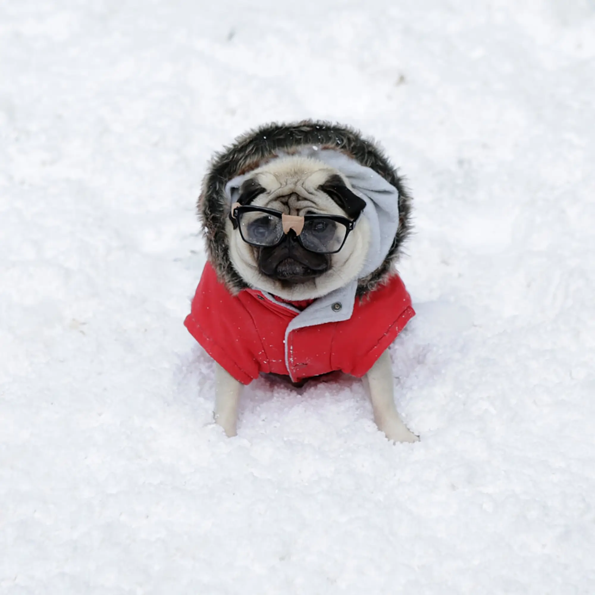 Vision Direct Christmas campaign